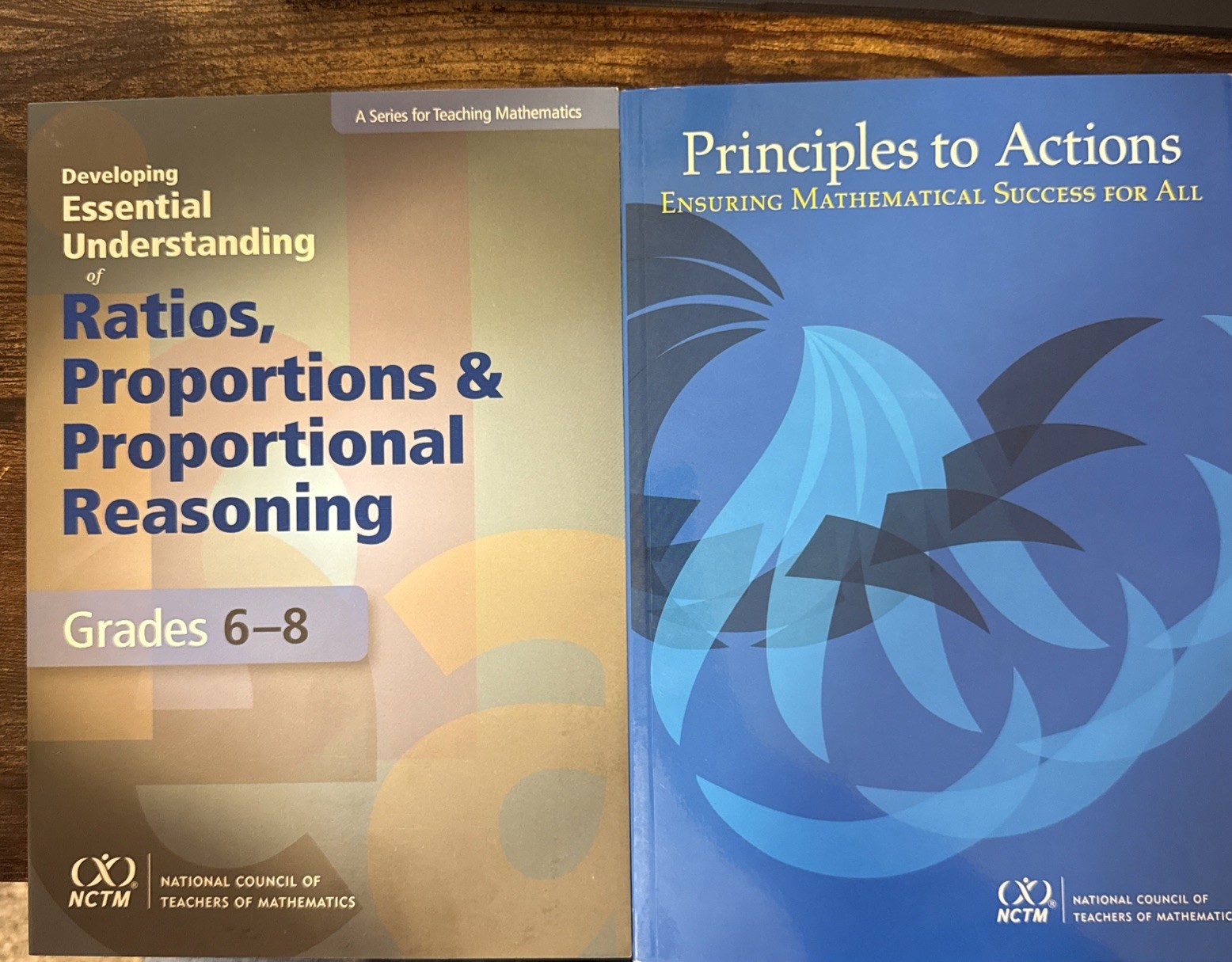 Ensuring Mathematical Success; Ratios, Proportions & Reas NCTM 2 math book lot