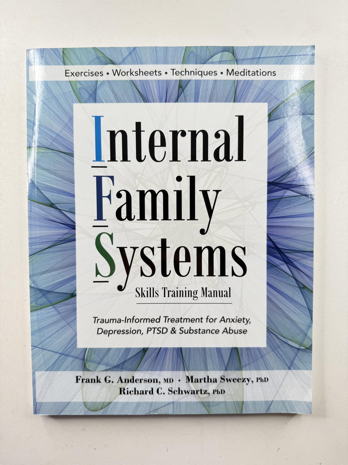 Internal Family Systems Skills Training Manual Paperback Anderson Schwartz USA