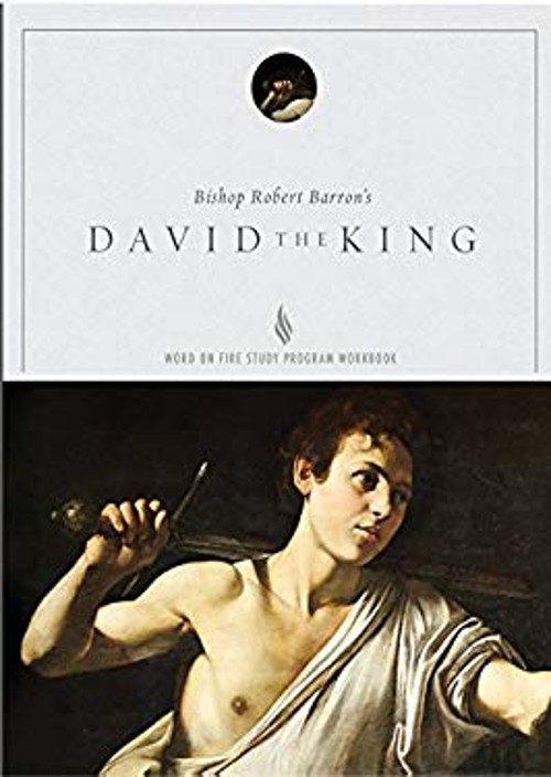 David the King – Study Guide Paperback Jacob Wood